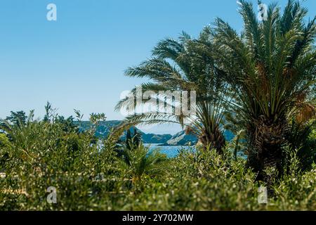 Guardando il mare blu con isole rocciose attraverso foglie di palma. Isola di Creta in Grecia, Europa. Vegetazione lussureggiante. Foto Stock