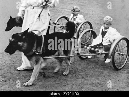 CARRELLI PER CANI REALI questo è stato il grande momento per il principe CARL GUSTAF di Svezia (a destra) e la sorella di 6 anni, la principessa Cristina, quando con la madre, la principessa Sibylla, hanno partecipato a una mostra canina a Stoccolma per celebrare il 60 ° anniversario del club canile svedese. I figli, pronipoti del re Gustavo di Svezia, hanno visto fare un giro su un'asfalto - il nome dato a quel tipo di carrozza trainata da cani. 14 settembre 1949 Foto Stock