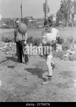 STING IN THE AIR Tousled FREDDIES MILLS , campione mondiale di peso leggero , sterlina di distanza al pugno all' aria aperta al Barley Mow , Betchworth , Surrey , dove Mills si trova ora nella fase finale di allenamento per la sua lotta con Bruce Woodcock al White City Stadium , Londra , il 2 giugno . Guardare - con apparente simpatia per la palla - è VENDITORI NAT . , Trainer Mills . Quando Mills e Woodcock si incontreranno , saranno in gioco i titoli britannici , Empire ed europei dei pesi massimi di Woodcock . 18 maggio 1949 Foto Stock