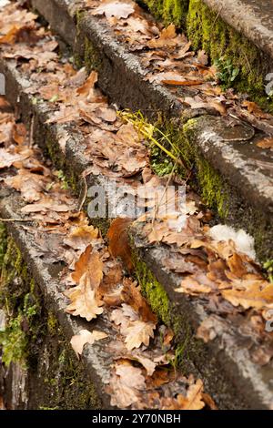 Scatto verticale con gradini diagonali coperti da foglie cadute Foto Stock