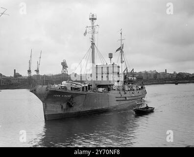 CASA DALL'ANTARTIDE dopo aver sfidato i ghiacci e la scarsa visibilità in viaggi pericolosi tra le basi delle dipendenze delle isole Falkland, e la nave antartica di rilevamento 'John Biscoe' torna oggi a Southampton. La nave era salpata da lì lo scorso ottobre. Fu solo dopo l'ottavo tentativo che la John Biscoe fu in grado di togliere tutti e cinque i membri di un gruppo a Hope Bay nel Grahamland britannico, e rischiò di rimanere intrappolata in un pesante branco di ghiaccio quando tentò di liberare gli undici uomini a base e, Isola di Donington; Margarita Bay, Grahamland. L'IMMAGINE MOSTRA:- il " John Biscoe " come sh Foto Stock