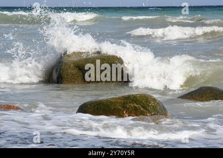 Anlaufendes Meer bei Mons Klint. Von kreidig-weiss, aquamarin, gruen und blau reicht die Farbskala des Wassers an den Steilklippen von Mon. Die Kreidefelsen dort zaehlen zu den touristischen attrazioni di Daenemarks. *** L'acqua di Mons Klint spazia dal bianco calcareo all'acquamarina, dal verde e blu sulle ripide scogliere di Mon. Le scogliere di gesso ci sono una delle attrazioni turistiche di Denmarks Foto Stock