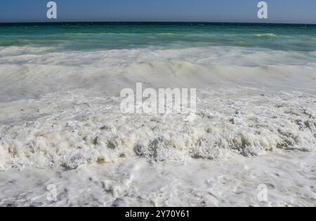 Von kreidig-weiss, aquamarin, gruen und blau reicht die Farbskala des anlaufenden Meeres an den Steilklippen von Mon. Die Kreidekueste dort zaehlt zu den touristischen attrazioni di Daenemarks. *** I colori del mare sulle scogliere di Mon spaziano dal bianco calcareo all'acquamarina, dal verde e dal blu. La costa di gesso c'è una delle attrazioni turistiche di Denmarks Foto Stock