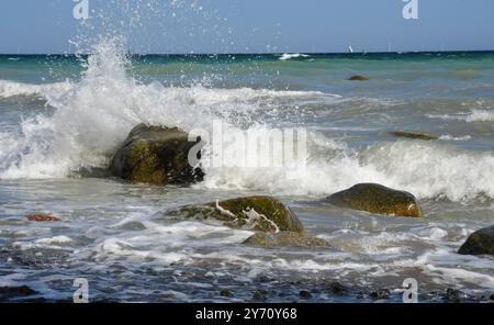 Anlaufendes Meer bei Mons Klint. Von kreidig-weiss, aquamarin, gruen und blau reicht die Farbskala des Wassers an den Steilklippen von Mon. Die Kreidekueste dort zaehlt zu den touristischen attrazioni di Daenemarks. *** L'acqua di Mons Klint spazia dal bianco calcareo all'acquamarina, dal verde e blu sulle ripide scogliere di Mon, la costa dei gesso, c'è una delle attrazioni turistiche di Denmarks Foto Stock