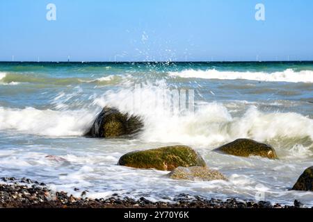 Von kreidig-weiss, aquamarin, gruen und blau reicht die Farbskala des anlaufenden Meeres an den Steilklippen von Mon. Die Kreidefelsen dort zaehlen zu den touristischen attrazioni di Daenemarks. *** I colori del mare sulle scogliere di Mon spaziano dal bianco calcareo all'acquamarina, dal verde e blu alle scogliere di gesso, ci sono una delle attrazioni turistiche di Denmarks Foto Stock