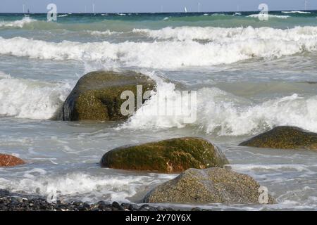 Von kreidig-weiss, aquamarin, gruen und blau reicht die Farbskala des anlaufenden Meeres an den Steilklippen von Mon. Die Kreidefelsen dort zaehlen zu den touristischen attrazioni di Daenemarks. *** I colori del mare sulle scogliere di Mon spaziano dal bianco calcareo all'acquamarina, dal verde e blu alle scogliere di gesso, ci sono una delle attrazioni turistiche di Denmarks Foto Stock