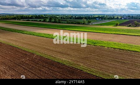 Ampi terreni agricoli si estendono attraverso il paesaggio, con file di raccolto alternati in varie tonalità di verde e marrone. I cieli nuvolosi si innalzano sopra i ricchi campi agricoli. Foto Stock