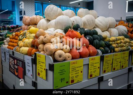 Una selezione di zucche e altre zucche per l'autunno in un Whole Foods Market di New York mercoledì 25 settembre 2024. (© Richard B. Levine) Foto Stock