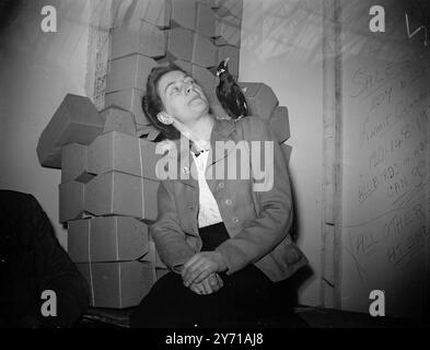 SONGSTERS IN CITTA' PER LO SPETTACOLO e' stata una giornata di canti e cinguettii a Westminster , Londra , quando il Crystal Palace Championship Show of Cage Birds ha aperto alla Royal Horticultural Hall . 5.000 uccelli verranno a giudicare nello spettacolo. IMMAGINI :- UCCELLO PARLANTE DALL'INDIA HA UNA CHIACCHIERATA CON LA SIGNORINA WINNIE HUDSON DI LONDRA. L'uccello è un indiano HILL MYNAH , particolarmente noto per i suoi poteri di mimetismo . È stato esposto dal signor . RAYMOND SAWYER di Hackney, Londra. 20 gennaio 1949 Foto Stock