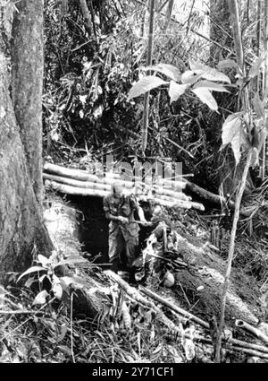 Cerca e vedrai un soldato scavare una trincea nella fitta foresta della valle di A Shau A circa un miglio ad est di Loas recentemente (17 maggio). Fu uno dei soldati che prese parte alla recente battaglia di 10 giorni per la collina Hamburger, nella quale oltre 300 americani furono uccisi o feriti, A Shau Valley, Vietnam del Sud. 24 maggio 1969 Foto Stock