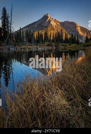 Lago calmo che riflette una montagna maestosa al tramonto con un bagliore dorato sulla foresta e le canne in primo piano Foto Stock