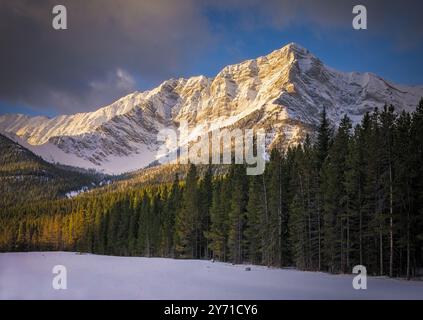 La luce del sole illumina le cime innevate sopra una foresta di pini Foto Stock