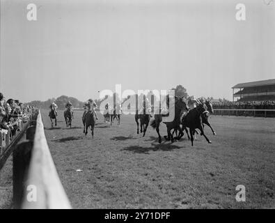 ROYAL TARA VINCE UNA GRANDE POSTA IN GIOCO PER IL GIUBILEO. "Royal Tara" di Mr.D.Morris (Gething Up) vince il Kempton Park grande "jubilee" handicap (n. 4) di Mr C.G.Darrell 's Deuces Wild', (M Hsynes Up) (n. 14) con il signor R.H.A. Gresson 's Closworth' (T.. Burn Up) terzo all'esterno, a Kempton, oggi. 8 maggio 1948 Foto Stock