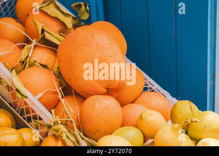 Esposizione di agrumi freschi in una postazione per succhi di frutta con succo maturo, pompelmo, arance, limoni, succhi all'aperto, bancarelle di cibo al mercato di strada, Essaouira, Marocco Foto Stock