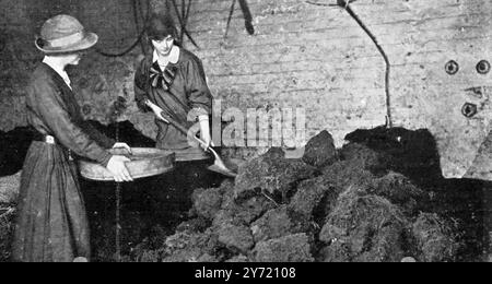 Donne che lavoravano nella prima guerra mondiale le quattro donne giardiniere impiegavano al posto degli uomini nei giardini del Re a Frogmore, rompendo grandi grumi di terra per intagliare muffe . Marzo 1916 Foto Stock