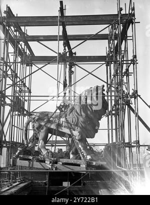 Il Leone di Hungerford in movimento. Realizzata da William Frederick Woodington nel 1837, si trovava in cima alla vecchia Lion Brewery ed era un simbolo della South Bank sul Tamigi per oltre 100 anni fino a quando non si spostò prima in preparazione per il Festival di Londra, vicino alla stazione di Waterloo nel 1949. Dal 1966 si trova all'estremità est del Westminster Bridge. Nella foto, nel primo tentativo di spostarlo dalla vecchia fabbrica di birra Lion in Belvedere Road, Lambeth, Londra, ma si è rivelato troppo pesante, quindi l'operazione è stata sospesa fino a quando non è stato acquistato un nuovo bar più forte. 8 febbraio 1949 Foto Stock