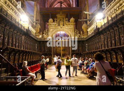 Turisti nelle bancarelle medievali del coro in legno intagliato nella cattedrale di Santa Maria Castiglia di Leon e Spagna di Leon Foto Stock