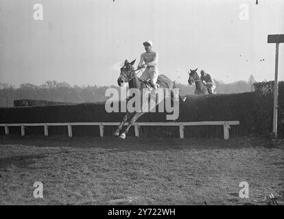 Cromwell, National Outsider, Beats Roimond, Rowland Roy. Dopo la sua brillante esibizione nell'importante Manifesto Stakes Over Three Miles al Lingfield Park di sabato, il sette anni di Lord Milmay Cromwell dovrebbe accorciare il prezzo per il Grand National in occasione della call-over di oggi per il grande evento. Ha vinto cinque delle sue ultime sei gare ed è saltato in stile superbo sconfiggendo i fanciulli candidati nazionali Rowland Roy e Roimond nella sua prestazione di sabato, quando è stato guidato da A.Grantham. Lord Mildmay spera di cavalcare lui stesso ad Aintree. L'immagine mostra: Cromwell, con A.. Grantham in Th Foto Stock