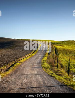 Monteroni d'Arbia, percorso della via Francigena. Strada in salita, campo e alberi. Provincia di Siena, regione Toscana, Italia, Europa Foto Stock