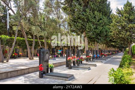 Baku, Azerbaigian - 6 maggio 2024: Il vicolo dei Martiri, adornato da ritratti commemorativi tra alberi lussureggianti e un ambiente tranquillo Foto Stock