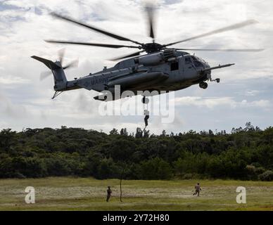 I Marine degli Stati Uniti con la III Marine Expeditionary Force conducono veloci esercitazioni su corda da un elicottero CH-53E Super Stallion durante un'esperienza di volo su corda Foto Stock