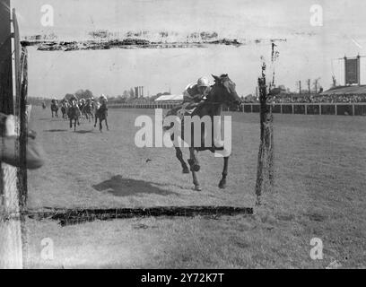 C'è stato un sole brillante per il primo giorno del secondo incontro di primavera a Hurst Park oggi. Le immagini mostrano: Il finale del grande handicap Harry, una grande gara di carte di oggi a Hurst Park. Closworth (No.14) guidata da E.. Smith sta vincendo comodamente da Billet(D.. Smith), con Kinsale (Gdn Richards), terzo. 25 aprile 1947 Foto Stock