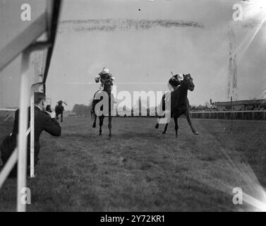 C'è stato un continuo sole luminoso per il secondo giorno del primo incontro primaverile a Hurst Park oggi. Immagini: Black Rock la macchina fotografica più vicina, combatte con French Toy per vincere oggi il Catlands handicap all'Hurst Park. 12 aprile 1947 Foto Stock