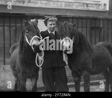 Due estranei sono arrivati allo zoo di Londra. Questi pony selvatici sono stati inviati in deposito dalla signorina M e Etherington di Exmoor perché la loro razza si sta rapidamente estinguendo. Si stima che solo una cinquantina di persone siano rimaste per il roaming di Exmoor. Spettacoli fotografici, pony selvatici Exmoor appena arrivati allo zoo con Miss Valerie Higgins del Children's Corner. 11 gennaio 1945 Foto Stock