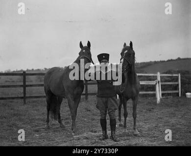 I 2 magnifici cavalli arabi donati alla principessa Elisabetta e alla principessa Margherita rosa dall'emiro Abdula di Transgiordania, si trovano al deposito remoto di Melton Mowbray (leicestershire) per essere esaminati prima di essere presentati alle principesse. Con loro c'è il più grande Mahmud Fakaria, della Transgiordania Frontier Force, che ha portato i cavalli in Inghilterra. 26 maggio 1946 Foto Stock