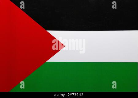 La bandiera della Palestina è un’immagine concettuale fatta con la carta. Mappa di base e concetto di sfondo. Ologramma a doppia esposizione. Notizie o uso di Internet. 2024 Foto Stock