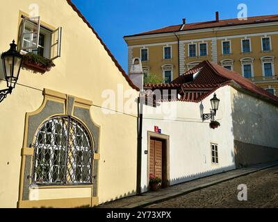 La fotografia mostra un paesaggio urbano medievale europeo in estate, caratterizzato da tetti vivaci e intricati dettagli architettonici. Foto Stock