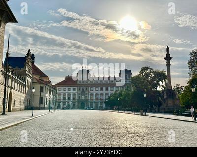 La fotografia mostra un paesaggio urbano medievale europeo in estate, caratterizzato da tetti vivaci e intricati dettagli architettonici. Foto Stock