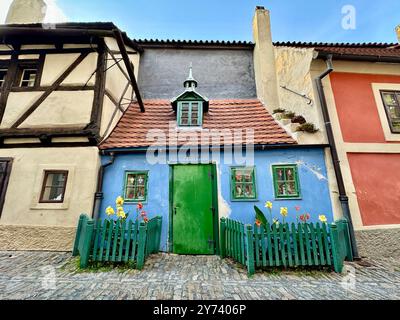 La fotografia mostra un paesaggio urbano medievale europeo in estate, caratterizzato da tetti vivaci e intricati dettagli architettonici. Foto Stock