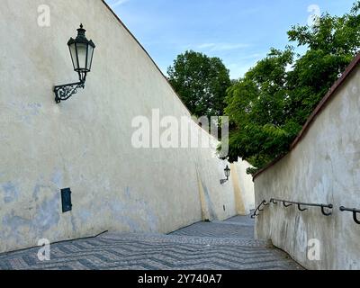 La fotografia mostra un paesaggio urbano medievale europeo in estate, caratterizzato da tetti vivaci e intricati dettagli architettonici. Foto Stock