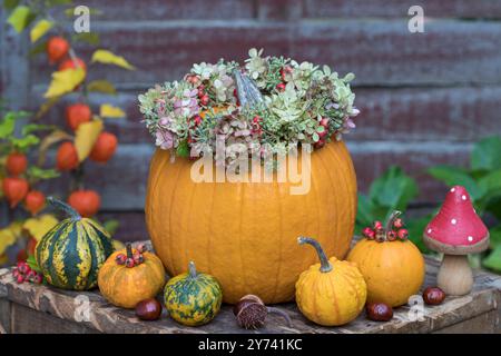 sistemazione autunnale con zucche arancioni decorate con una corona di fiori Foto Stock