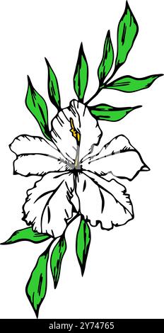 disegno di un ramo di fiori bianchi con contorno nero su sfondo bianco, logo, arte Foto Stock