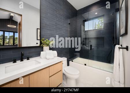 Interni moderni del bagno dal design elegante, con doccia in vetro, lavandino bianco e pareti piastrellate nere. Foto Stock