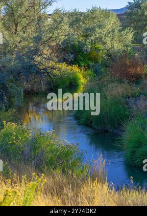 La luce autunnale e il sole tramonta riflettono sul flusso d'acqua che attraversa erba alta, arbusti e alberi. Crea una curva a S in un campo pacifico. Foto Stock