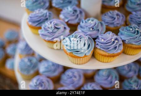 Fotografia di cupcake smerigliati viola con piccole perle bianche commestibili su un espositore a piano cupcake Foto Stock