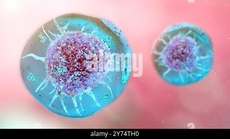 L'illustrazione concettuale raffigura la terapia oncologica con idrogel, che mostra la somministrazione di molecole di farmaci antitumorali attraverso un idrogel (blu) a una cellula tumorale (rosso). Gli idrogel sono materiali bifasici emersi come un trasportatore unico per i sistemi di somministrazione dei farmaci nella terapia oncologica. Sono in grado di fornire quantità controllate e sostenute di farmaci antitumorali alle cellule tumorali. Foto Stock