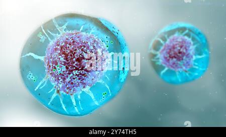 L'illustrazione concettuale raffigura la terapia oncologica con idrogel, che mostra la somministrazione di molecole di farmaci antitumorali attraverso un idrogel (blu) a una cellula tumorale (rosso). Gli idrogel sono materiali bifasici emersi come un trasportatore unico per i sistemi di somministrazione dei farmaci nella terapia oncologica. Sono in grado di fornire quantità controllate e sostenute di farmaci antitumorali alle cellule tumorali. Foto Stock