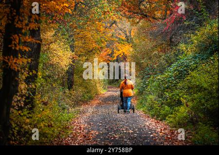 La giovane madre porta un bambino piccolo in una carrozza e lo mette a dormire nella splendida natura colorata autunnale Foto Stock