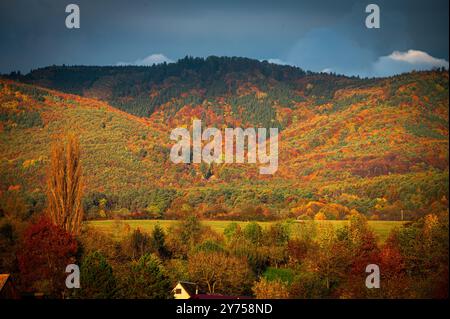 La foresta dei Carpazi risplende nei ricchi colori dell'autunno Foto Stock