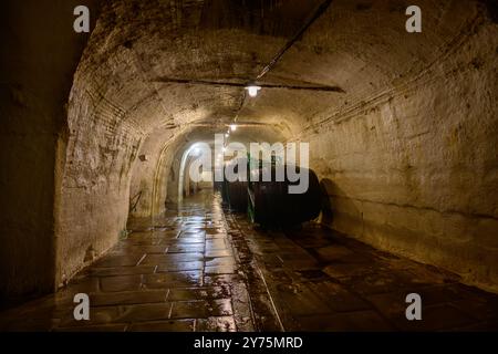 Plzen, Repubblica Ceca - 17 agosto 2024: Pilsner Urquell Plzensky Prazdroj birrificio cantina con botti di birra di legno. Foto Stock