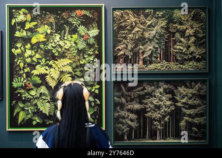 Londra, Regno Unito. 28 settembre 2024. Opere di Jasper Goodall nella Tree Art Gallery - la British Art Fair torna alla Saatchi Gallery. I migliori rivenditori di Londra e di tutto il Regno Unito si riuniscono per presentare le migliori opere d'arte moderna britannica e contemporanea e fornire consigli specialistici sul collezionismo. È attivo dal 26-29 settembre 2024. Crediti: Guy Bell/Alamy Live News Foto Stock