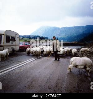 Ein Hirte mit Seiner Schafherde auf einer Landstraße zwischen Rozaje (Rožaje) in Montenegro und Peja im Kosovo; im Hintergrund der Mercedes Benz /8 und Wohnwagen von Fotografin Leonore Ander und ihrem Mann, um 1981. Foto Stock