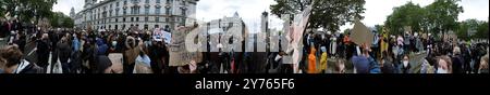 Londra, Inghilterra, giugno 6 2020: Panoramic Black Lives Matter Protestation a Londra Foto Stock
