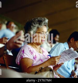 Begeistertes Publikum beim Pferderennen im Jockey Club de Sao Paolo (São Paulo), Brasilien um 1989. Foto Stock