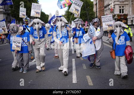 La gente partecipa a una marcia nazionale di ricongiungimento nel centro di Londra. La protesta è a favore del reingresso del Regno Unito nell'Unione europea. Data foto: Sabato 28 settembre 2024. Foto Stock