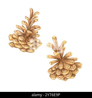 Un paio di coni di pino in tonalità marroni, clipart acquerello ideale per disegni a tema boschivo, biglietti per le vacanze e decorazioni per la casa ispirate alla natura. Illustrazione botanica per progetti natalizi stagionali Foto Stock